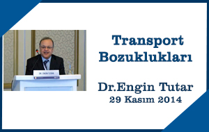 6-engintutar